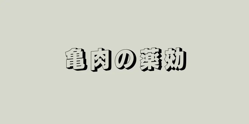 亀肉の薬効