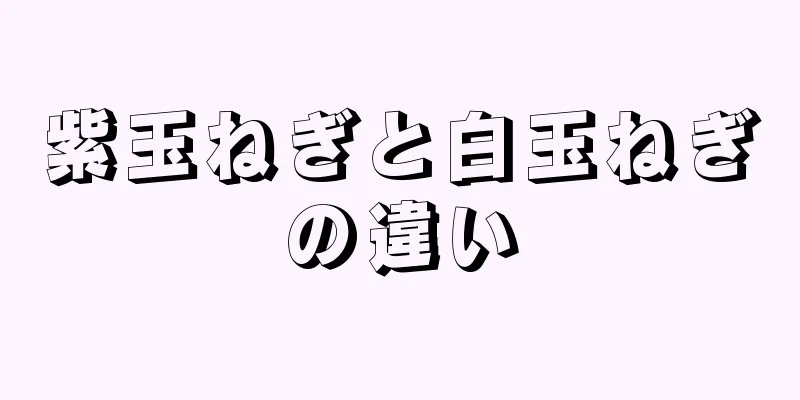 紫玉ねぎと白玉ねぎの違い