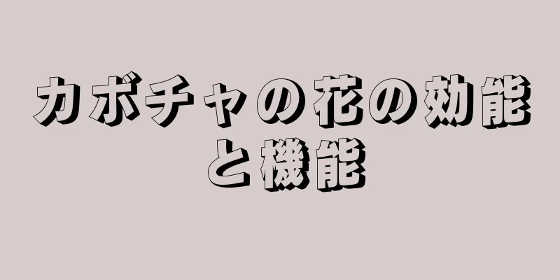 カボチャの花の効能と機能