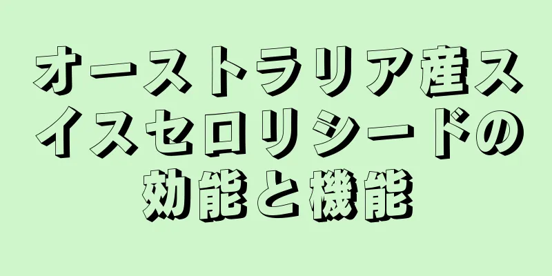 オーストラリア産スイスセロリシードの効能と機能