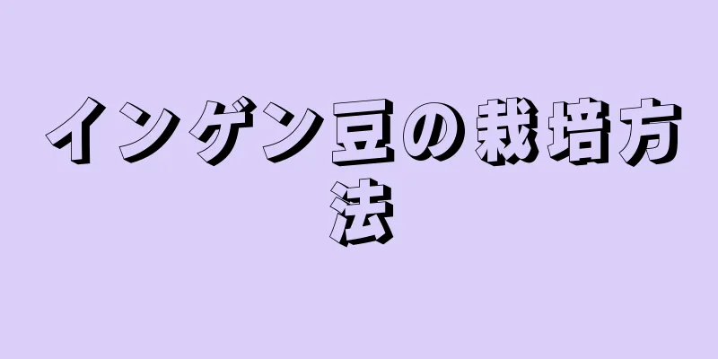 インゲン豆の栽培方法
