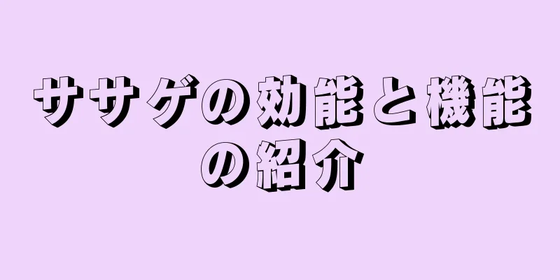 ササゲの効能と機能の紹介