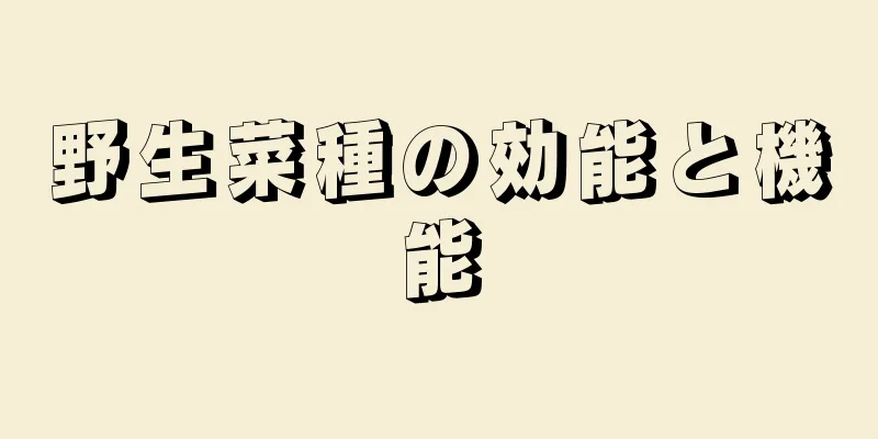野生菜種の効能と機能