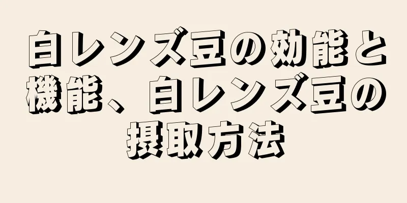 白レンズ豆の効能と機能、白レンズ豆の摂取方法