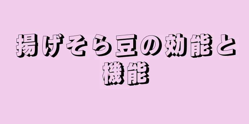 揚げそら豆の効能と機能