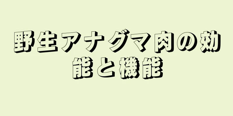 野生アナグマ肉の効能と機能