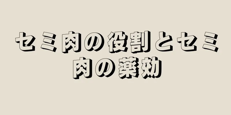 セミ肉の役割とセミ肉の薬効