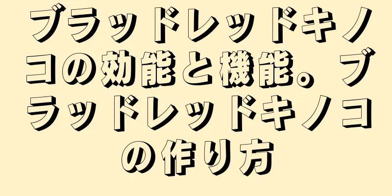 ブラッドレッドキノコの効能と機能。ブラッドレッドキノコの作り方