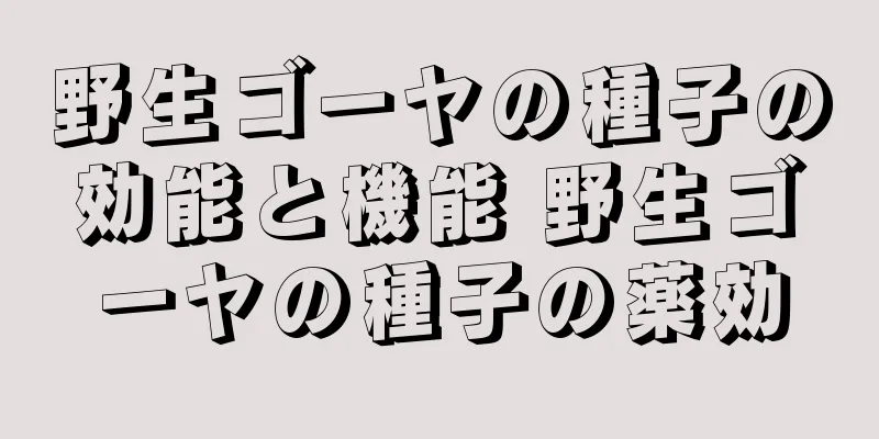 野生ゴーヤの種子の効能と機能 野生ゴーヤの種子の薬効