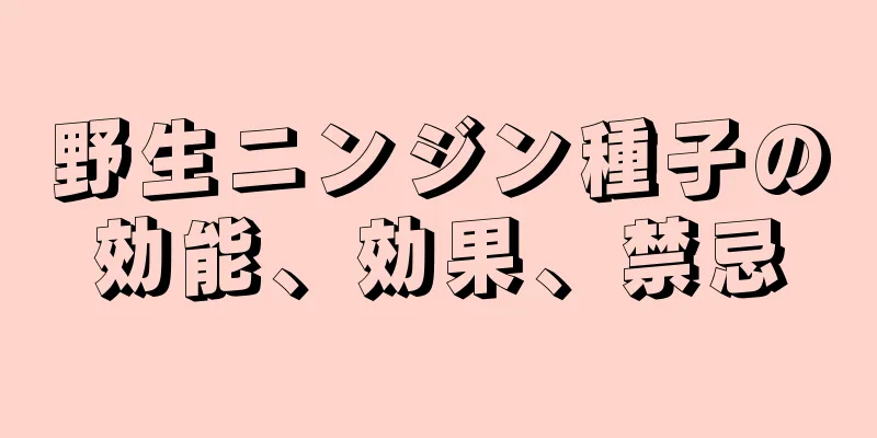 野生ニンジン種子の効能、効果、禁忌