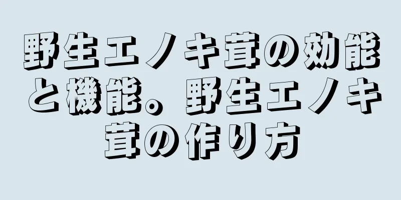 野生エノキ茸の効能と機能。野生エノキ茸の作り方