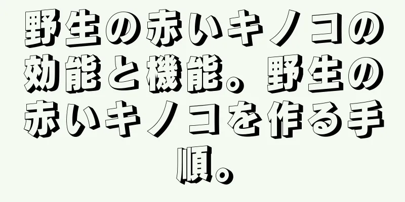 野生の赤いキノコの効能と機能。野生の赤いキノコを作る手順。