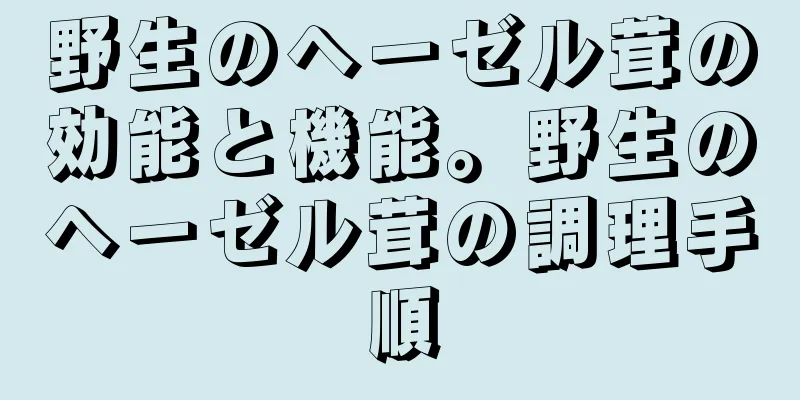 野生のヘーゼル茸の効能と機能。野生のヘーゼル茸の調理手順