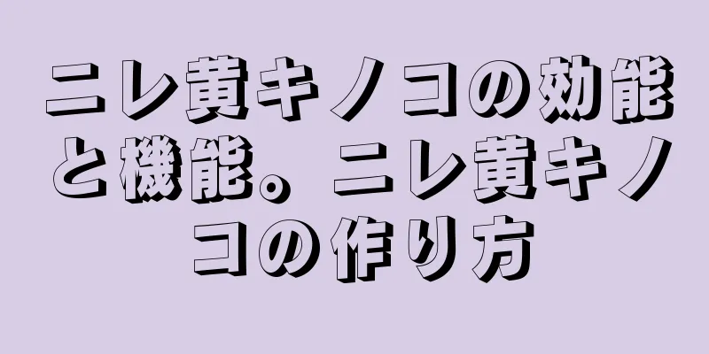 ニレ黄キノコの効能と機能。ニレ黄キノコの作り方