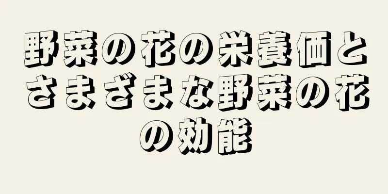 野菜の花の栄養価とさまざまな野菜の花の効能