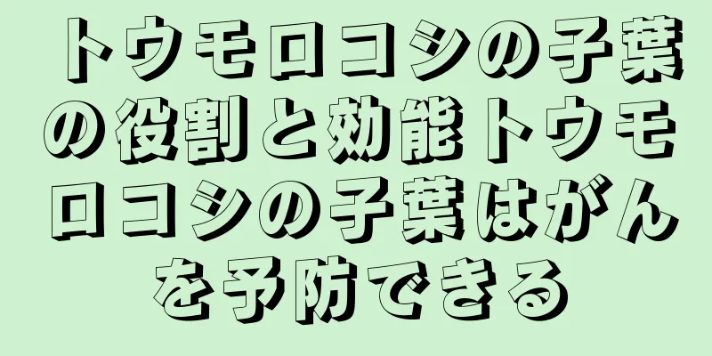 トウモロコシの子葉の役割と効能トウモロコシの子葉はがんを予防できる