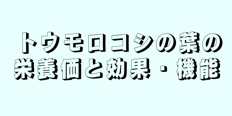 トウモロコシの葉の栄養価と効果・機能