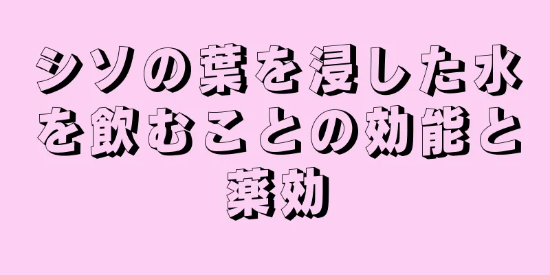 シソの葉を浸した水を飲むことの効能と薬効
