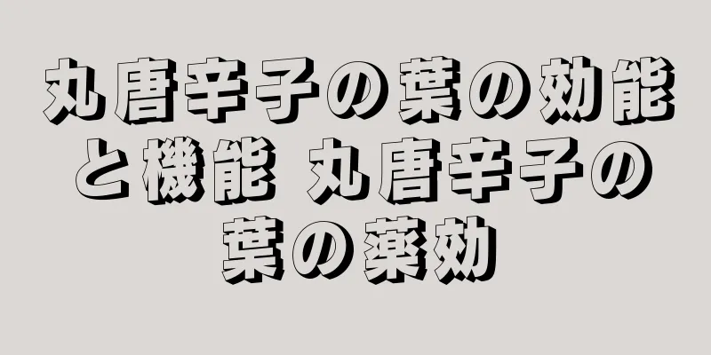 丸唐辛子の葉の効能と機能 丸唐辛子の葉の薬効
