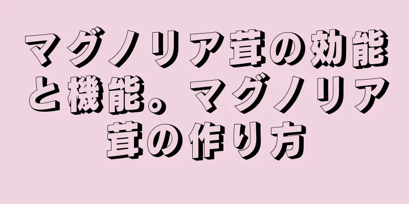 マグノリア茸の効能と機能。マグノリア茸の作り方