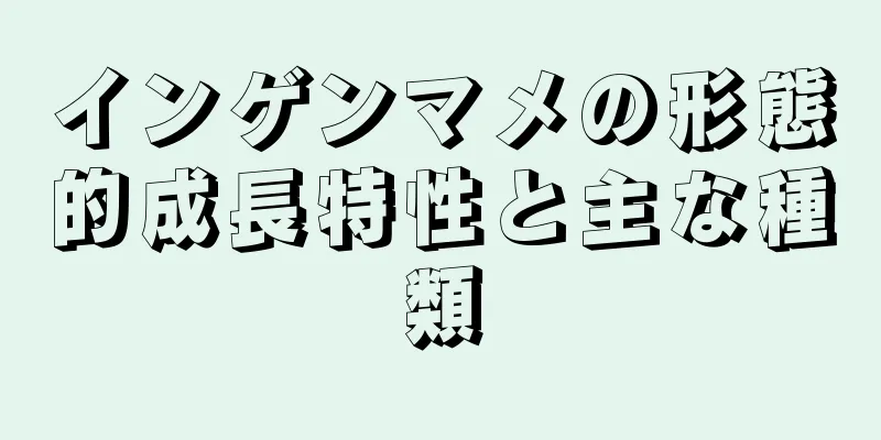 インゲンマメの形態的成長特性と主な種類