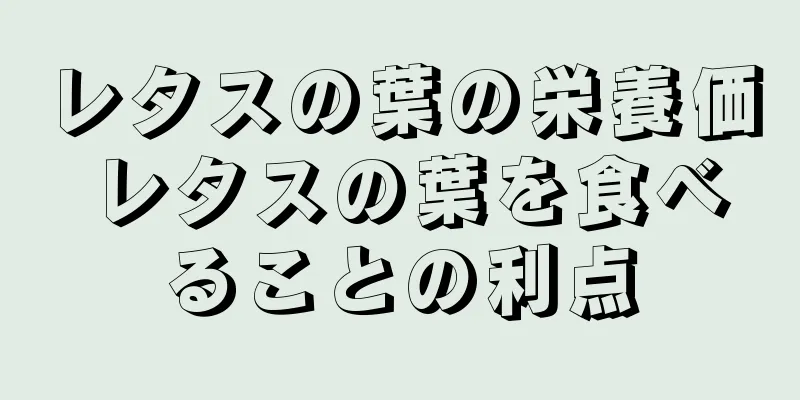 レタスの葉の栄養価 レタスの葉を食べることの利点