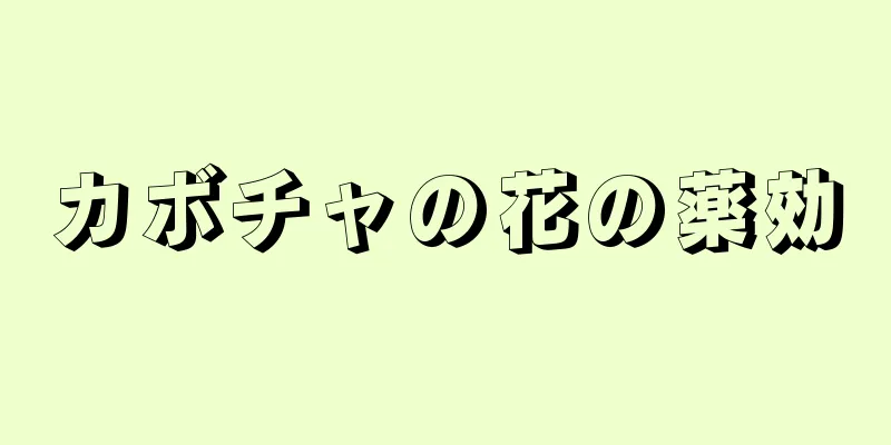 カボチャの花の薬効