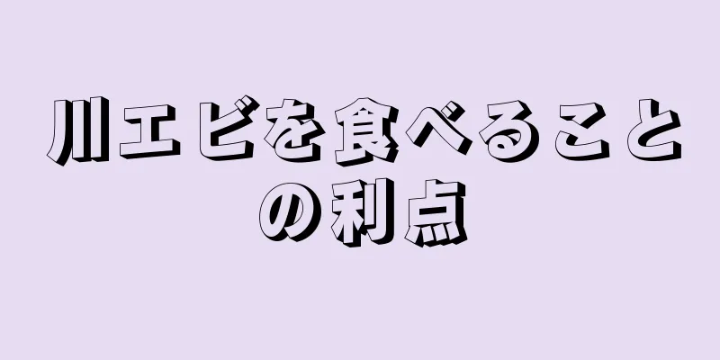川エビを食べることの利点
