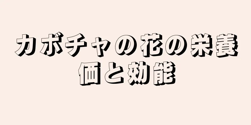 カボチャの花の栄養価と効能