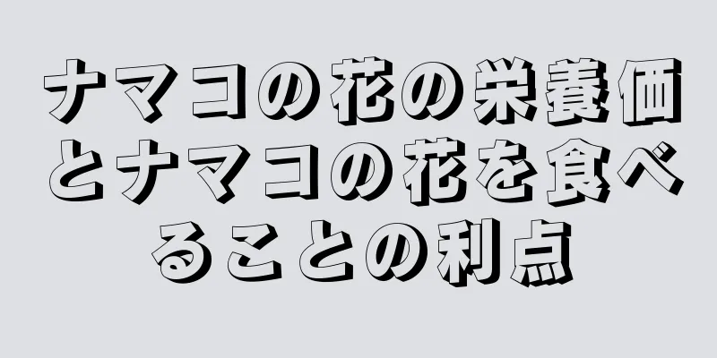 ナマコの花の栄養価とナマコの花を食べることの利点