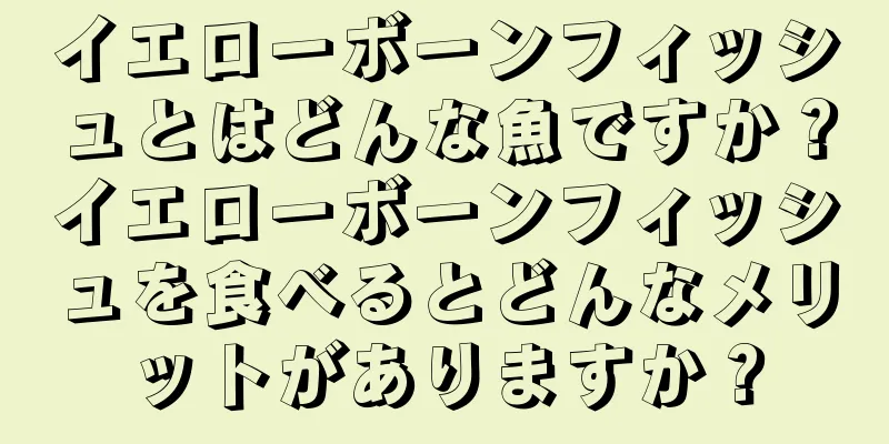 イエローボーンフィッシュとはどんな魚ですか？イエローボーンフィッシュを食べるとどんなメリットがありますか？