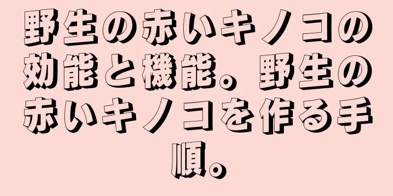 野生の赤いキノコの効能と機能。野生の赤いキノコを作る手順。