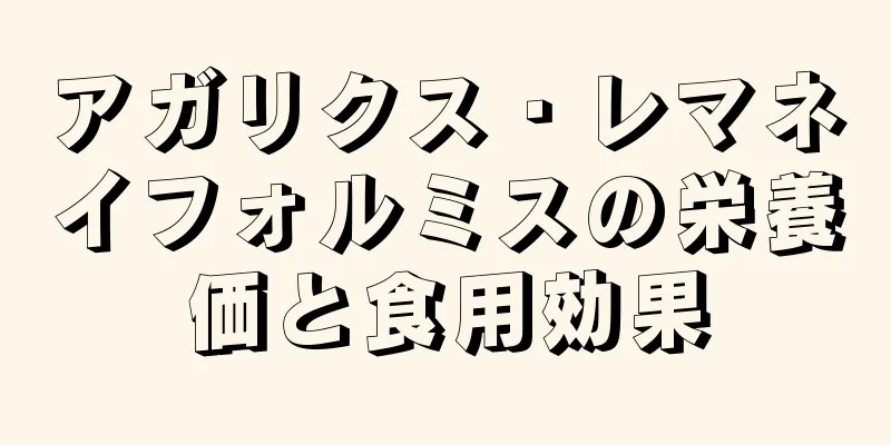 アガリクス・レマネイフォルミスの栄養価と食用効果