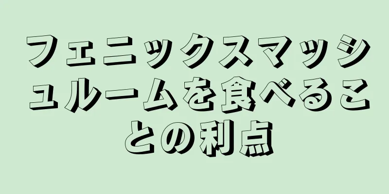 フェニックスマッシュルームを食べることの利点