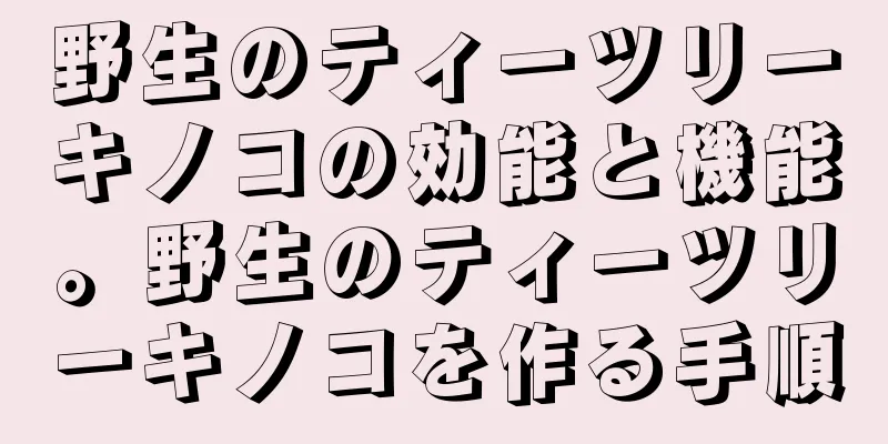 野生のティーツリーキノコの効能と機能。野生のティーツリーキノコを作る手順