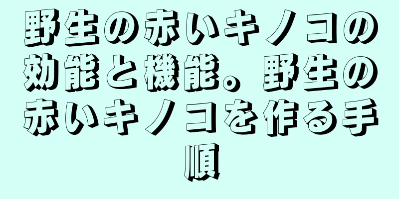 野生の赤いキノコの効能と機能。野生の赤いキノコを作る手順