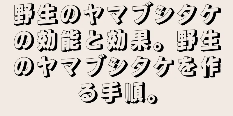 野生のヤマブシタケの効能と効果。野生のヤマブシタケを作る手順。