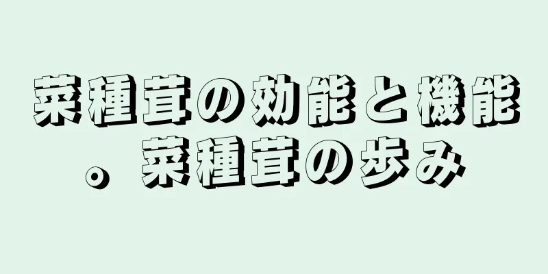 菜種茸の効能と機能。菜種茸の歩み