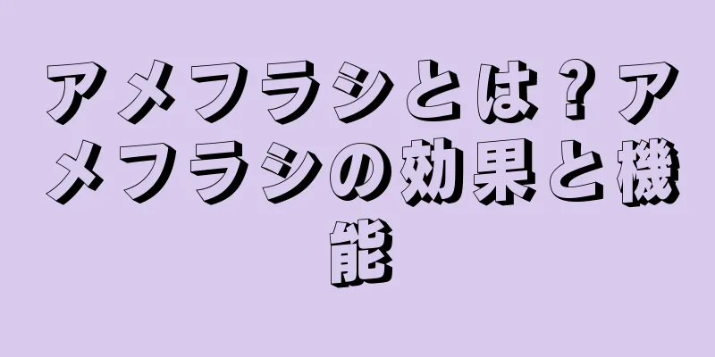 アメフラシとは？アメフラシの効果と機能