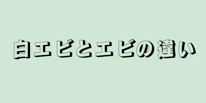 白エビとエビの違い