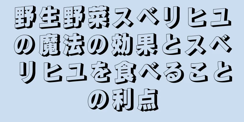 野生野菜スベリヒユの魔法の効果とスベリヒユを食べることの利点