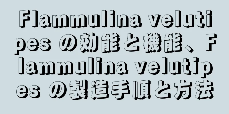 Flammulina velutipes の効能と機能、Flammulina velutipes の製造手順と方法