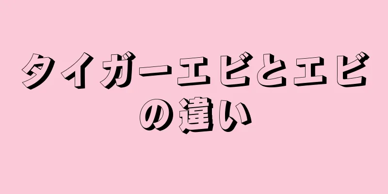 タイガーエビとエビの違い