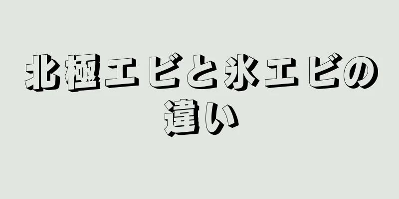 北極エビと氷エビの違い