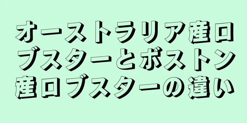 オーストラリア産ロブスターとボストン産ロブスターの違い