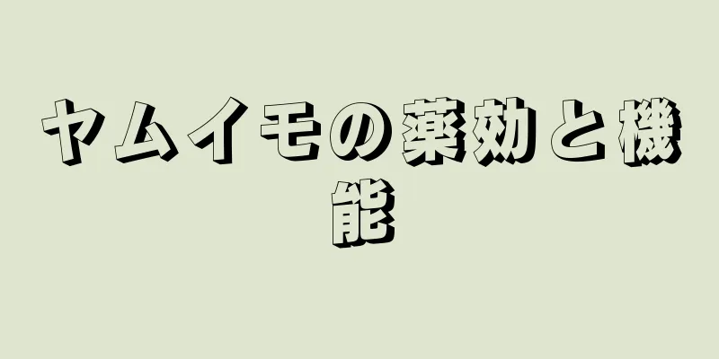 ヤムイモの薬効と機能