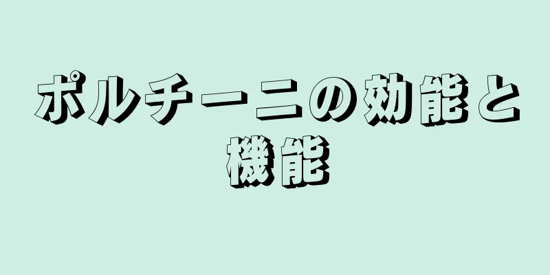 ポルチーニの効能と機能