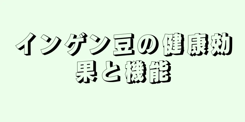 インゲン豆の健康効果と機能