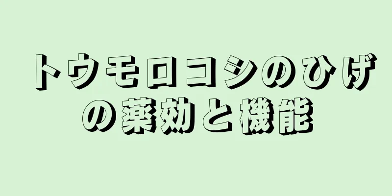 トウモロコシのひげの薬効と機能