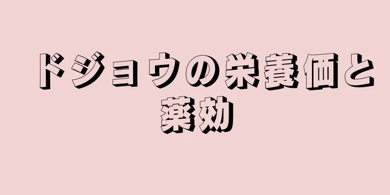 ドジョウの栄養価と薬効